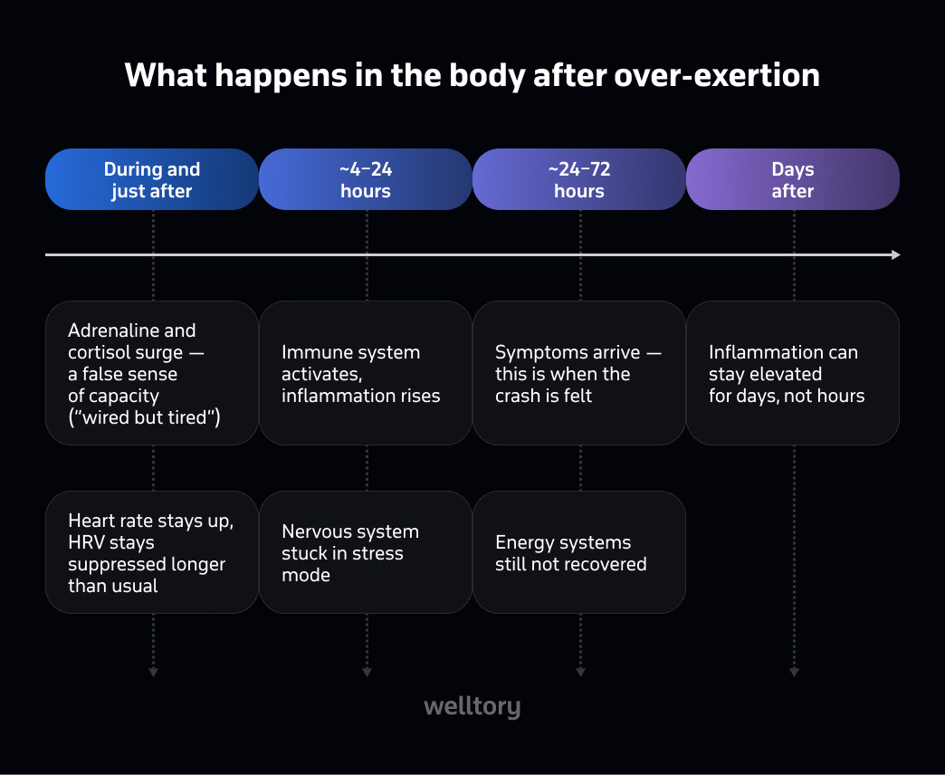 Timeline showing what happens in the body after over-exertion, from an adrenaline and cortisol surge to inflammation that can stay elevated for days
