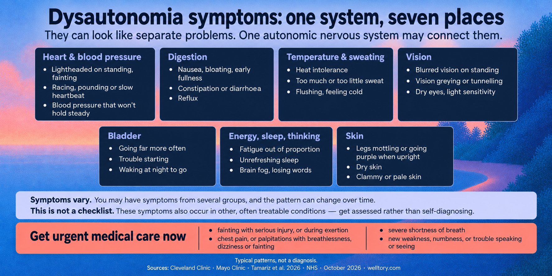 Infographic titled "Dysautonomia symptoms: one system, seven places", subtitled "They can look like separate problems. One autonomic nervous system may connect them." Seven cards group the symptoms by body system. Heart and blood pressure: lightheaded on standing, fainting; racing, pounding or slow heartbeat; blood pressure that won't hold steady. Digestion: nausea, bloating, early fullness; constipation or diarrhoea; reflux. Temperature and sweating: heat intolerance; too much or too little sweat; flushing, feeling cold. Vision: blurred vision on standing; vision greying or tunnelling; dry eyes, light sensitivity. Bladder: going far more often; trouble starting; waking at night to go. Energy, sleep, thinking: fatigue out of proportion; unrefreshing sleep; brain fog, losing words. Skin: legs mottling or going purple when upright; dry skin; clammy or pale skin. A light panel below reads: symptoms vary — you may have symptoms from several groups, and the pattern can change over time; this is not a checklist — these symptoms also occur in other, often treatable conditions, so get assessed rather than self-diagnosing. A red panel headed "Get urgent medical care now" lists fainting with serious injury or during exertion; chest pain, or palpitations with breathlessness, dizziness or fainting; severe shortness of breath; new weakness, numbness, or trouble speaking or seeing. Footer: typical patterns, not a diagnosis. Sources: Cleveland Clinic, Mayo Clinic, Tamariz et al. 2026, NHS, October 2026, welltory.com.