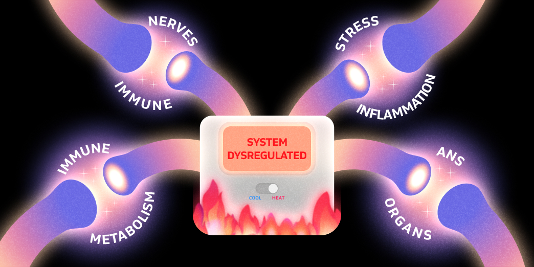 The four interconnected circuits that keep the system dysregulated
