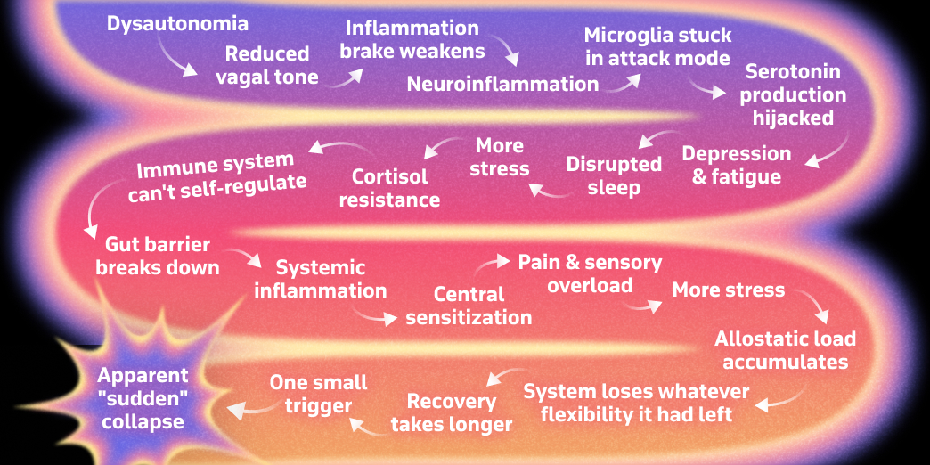 The full dysregulation loop