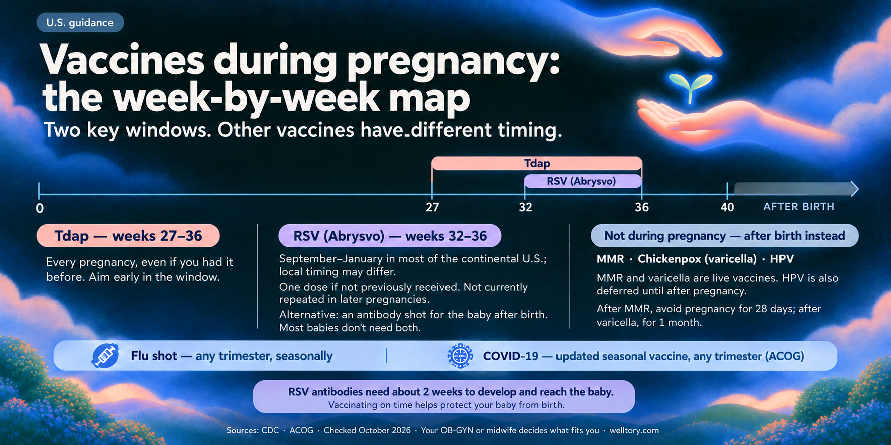 Week-by-week timeline of vaccines during pregnancy. Tdap is given between weeks 27 and 36 of every pregnancy, ideally early in that window, even if you had it before. The RSV vaccine Abrysvo is given between weeks 32 and 36, but only if those weeks fall between September and January; it is given once and is not repeated in later pregnancies, and the alternative is an antibody shot for the baby after birth, with most babies needing only one of the two. A flu shot fits any trimester, and as of October 2026 a 2026-27 COVID-19 vaccine is listed for pregnant people in any trimester. Live vaccines are not given during pregnancy and wait until after birth: MMR, chickenpox and HPV, with pregnancy avoided for 28 days after an MMR dose and one month after a varicella dose. Protection starts about two weeks after a shot, which is why the Tdap and RSV windows end at week 36. Sources: CDC and ACOG, October 2026.